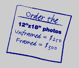 order the 12x18 prints