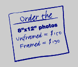 order the 8x12 prints